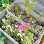 Blumenkiste1