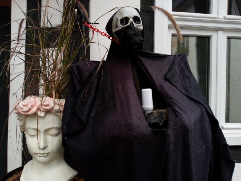 Schnappschuss Halloween1