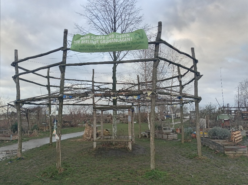 Geleitete Tanzlinde Berlin1