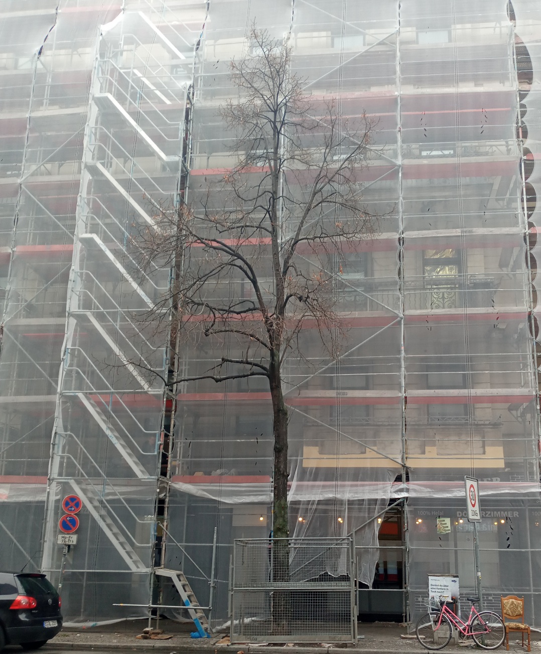 Strassenbaum vor gerüstetetm Haus im Schutzzaun