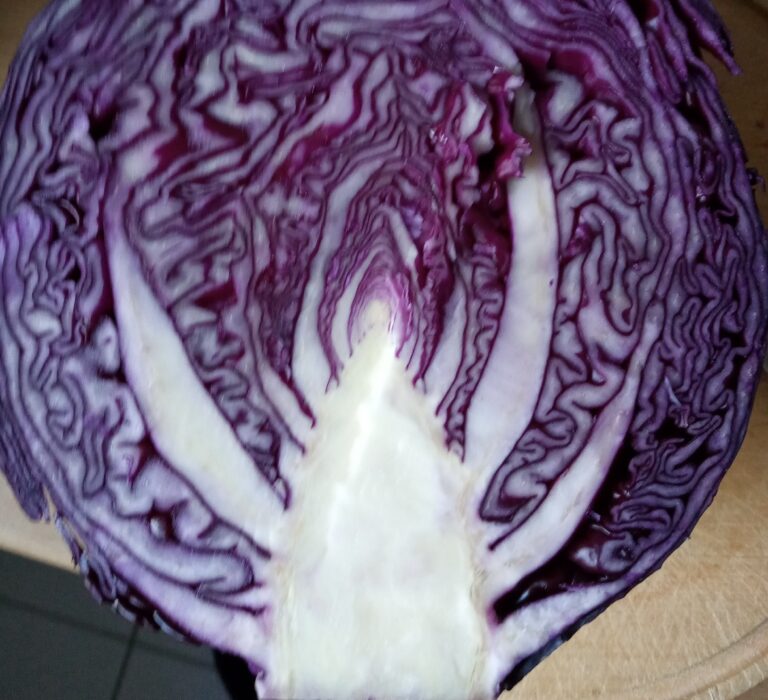 Aufgeschnittener Rotkohl